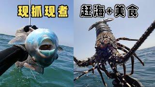 《环球探海记》阿曼 第47天：今天潜水抓龙虾时，竟然被巨型海鳗吓得全身发抖   #抓龙虾 #自由潜渔猎 #环球赶海旅行