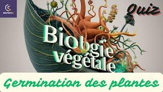 Quiz Sur La Germination des Plantes. Les étapes de la germination : de la dormance à la croissance.