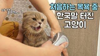 Iz's First Time Bathing and Iz Speaks Korean?!