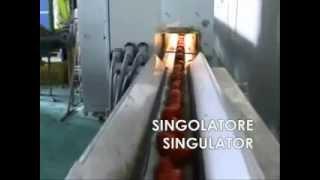 AGRIMAT SRL - Vegetables (long): optical electronic sizer machine with air expulsion