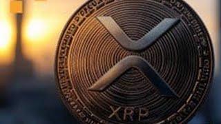 XRP RIPPLE INSIDERS ARE BACK !!!!!