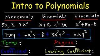 Polynomials - Classifying Monomials, Binomials & Trinomials - Degree & Leading Coefficient