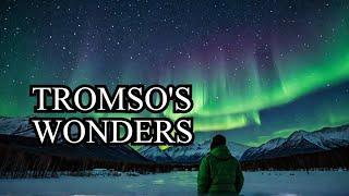 Discover The MOST Amazing Arctic Adventures In Tromso