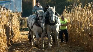 Visit Indiana - Indiana Harvest