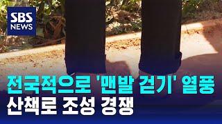 전국적으로 '맨발 걷기' 열풍…산책로 조성 경쟁 / SBS