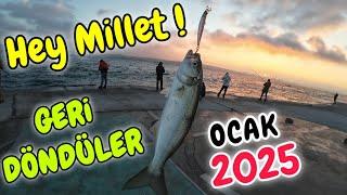 ÇİNEKOP GERİ GELDİ - İSTANBUL BOĞAZI ÇİNEKOP AVI - OCAK 2025 - İSTANBUL BALIK AVI - #çinekop