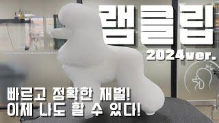 한국애견협회 3급 램클립 재벌 2024ver.