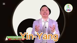 Yin Yang philosophy | TCM SPIRIT #holisticonlinetv #drdbsunuwar