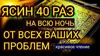 Сура Ясин 40 раз, От всех ваших проблем, (ЧилЙасин) от джины, порчи и сглаза, врагов и злых людей