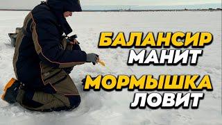 А ТАК МОЖНО БЫЛО?! Способ привлечения пассивного окуня. Зимняя рыбалка в Тюмени