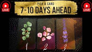  Pick A Card - 7-10 Days Ahead + $21.21 Live Readings