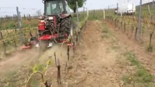 Under vine weeder | ID David