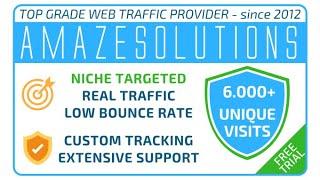 I will bring real visitors, targeted web traffic