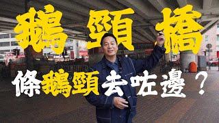 【歷史棠】鵝頸橋條鵝頸去咗邊？｜乜乜棠水舖
