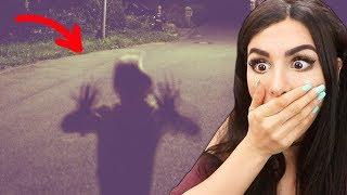 DEAR DAVID GHOST STORY (FINAL UPDATE)