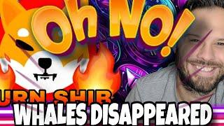 Shiba Inu Coin | SHIB Whales Disappear! At The Bottom Or More Declines?!