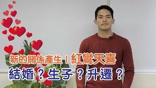 【紫微生活台】新的關係產生 結婚？生子？升遷？｜紅鸞天喜