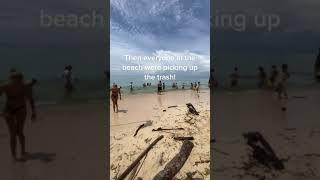 Mindblowing and Spontaneous Plastic Pick Up at the Beach