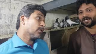 Senior Pigeon Lover Ustad Sheikh Ayub of Gujranwala Part 1