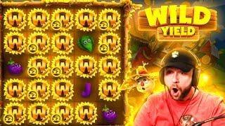 Getting to MAX STAGE on the ALL NEW WILD YIELD slot... SPINS COST HOW MUCH?! (Bonus Buys)