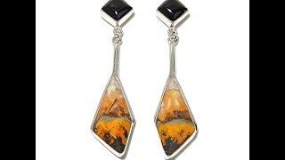 Jay King Bumblebee Jasper and Agate Earrings