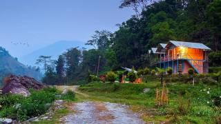 Reshi River Resort Rishikhola, Sikkim Silkroute(Diganta Travels)