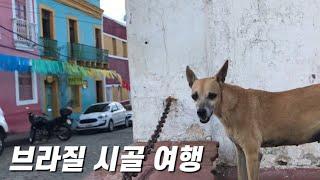  #34 브라질에 이런곳이 해시피 올린다 여행