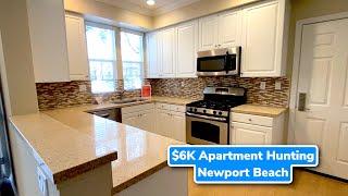 3 Bedroom Apartment Hunting Bordeaux TOWNHOME Newport Beach, California