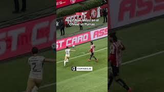 Jugaron dos Alan Mozo el partido de Chivas vs Pumas en el Estadio Akron #ligamx #futbolmexicano