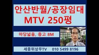 안산 시흥 시화공단 반월공단 MTV  경기도 공장 창고 임대  250평  세종위상무