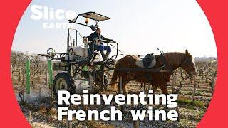 Natural Wine : The ecological awakening of French vineyards | SLICE EARTH | FULL DOC