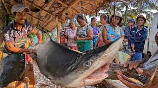 Most Satisfying  Fish Cutting Show – Exotic Village Fish Market