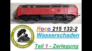 LS: Roco BR 215 132-2 - Instandsetzung nach Wasserschaden, ... Katze in der Lok gefunden XD