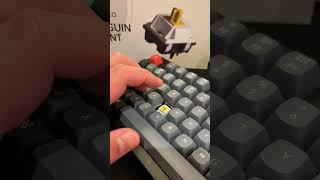 Akko Penguin Silent Tactile Switches | Sound Test #akko #keychron