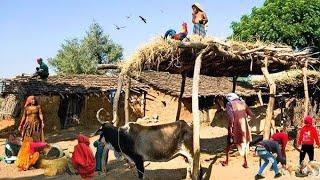 indian village life Hello Namaste everyone!This is India Real life from India. Welcome to my channel