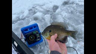 Ice Fishing in Northern Michigan for Large Panfish!