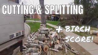 PROCESSING FIREWOOD AT THE WOOD YARD + BIRCH PICKUP! CUTTING AND SPLITTING ACTION