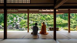 Staying at Kyoto's Hidden Buddhist Temple with 400 Years of History | Chishakuin Temple Shukubo