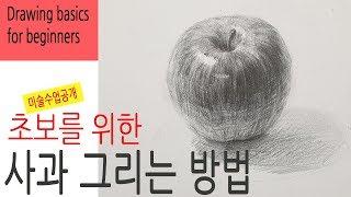 초보를 위한 사과 그리는 방법 / 미술수업공개