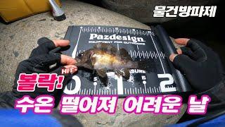 수온 떨어져 예민한 날! 남해 볼락낚시