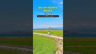 지금 제일 예쁜 제주 서쪽 가볼만한곳 Best5  #제주도여행 #제주여행 #제주