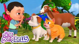 Meow Meow Chhoti Billi | म्याऊं म्याऊं छोटी बिल्ली | Kids Nursery Rhymes in Hindi | Ding Dong Bells