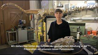 Science Talks - Plateosaurier in der Präparation