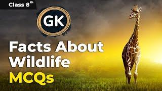 Class 8 General Knowledge | MCQs - Facts About Wildlife | Class 8 GK