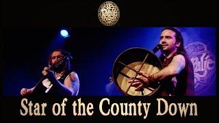 Star Of The County Down - Rapalje - Celtic Music live show