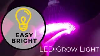 LED Grow Light by Haus Bright - Explainer