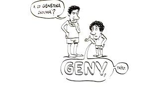 Genetika – NEZkreslená věda III