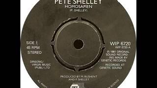 Pete Shelley - Homosapien (Dance Version)