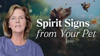 Don’t Miss Signs From Your Spirit Pets After They Pass | Tami Hendrix