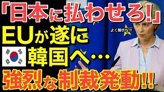 【海外の反応】EUが遂に隣国へ強烈制裁を発動！日本が得する最高英断！【にほんのチカラ】